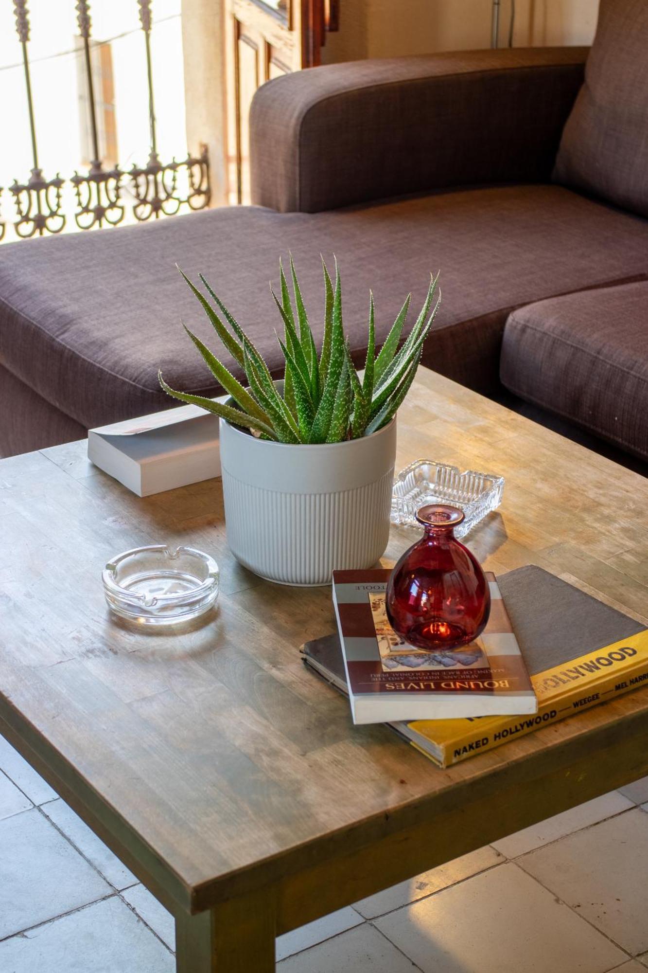 Precioso Duplex Con Gran Terraza En Pleno Centro * Sevilla